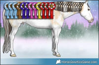 Horse Color:Buckskin Dun Sabino Splash Rabicano 