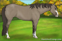 Horse Color:Smoky Grullo Roan Sabino