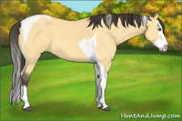 Horse Color:Buckskin Roan Dun Splash Tobiano 
