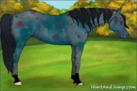 Horse Color:ERROR: UNKNOWN ANOMALY
