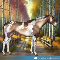 Horse Color:Red Onyx Tobiano 