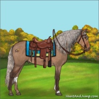 Horse Color:Silver Brown Dun 