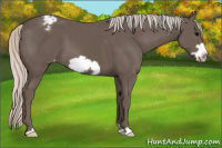 Horse Color:Silver Black Frame Appaloosa 