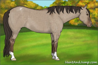 Horse Color:Liver Red Dun Varnish Brindle 