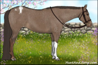 Horse Color:Liver Red Dun Varnish Brindle 