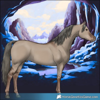 Horse Color:Liver Red Dun Mushroom 