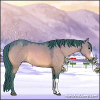 Horse Color:Watercolor Brown Dun 