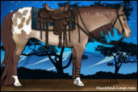 Horse Color:Chocolate Brown Dun Appaloosa