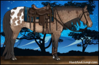 Horse Color:Brown Dun Appaloosa Brindle