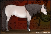 Horse Color:Platinum Bay Dun Appaloosa 