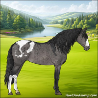 Horse Color:Platinum Brown Dun Appaloosa Brindle 