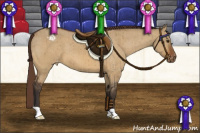 Horse Color:Buckskin Dun Appaloosa Brindle