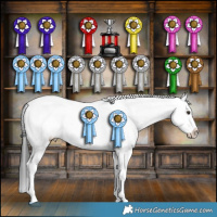 Horse Color:Liver Red Dun Appaloosa Brindle