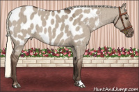 Horse Color:Liver Red Dun Mushroom Blanket Brindle 