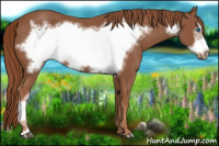 Horse Color:Chestnut Frame 