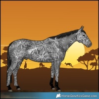 Horse Color:Gray Void Black Ice Tobiano 