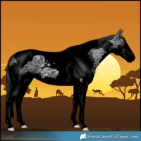 Horse Color:Void Black Ice Splash Tobiano 