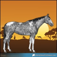Horse Color:Black Ice Tobiano 