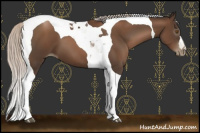 Horse Color:Gray Silver Black Pearl Tobiano