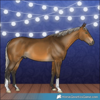 Horse Color:Gray Silver Buckskin 