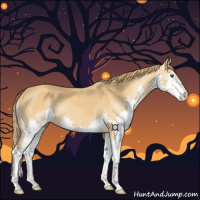 Horse Color:Chestnut Splash 