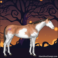 Horse Color:Bay Splash 