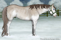 Horse Color:Liver Red Dun Sabino Splash Rabicano