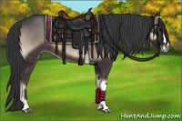 Horse Color:Blue Onyx