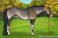 Horse Color:Blue Onyx