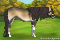 Horse Color:Smoky Blue Onyx 