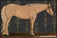 Horse Color:Chestnut and Chestnut