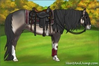 Horse Color:Blue Onyx 