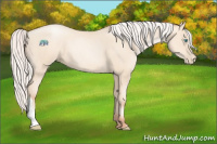 Horse Color:Silver Amber Cream Champagne Pearl 