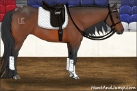 Horse Color:Brown Tobiano