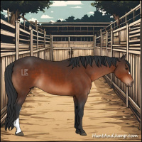 Horse Color:Brown 