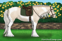 Horse Color:Silver Smoky Black Pearl Tobiano 