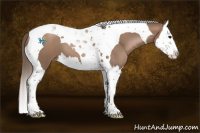 Horse Color:Black Pearl Splash Tobiano 