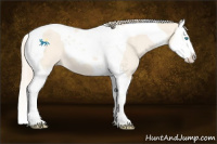Horse Color:Perlino Splash Tobiano 