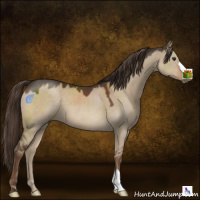 Horse Color:Liver Red Dun 