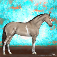 Horse Color:White Spotted Liver Red Dun Brindle 
