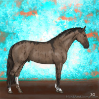 Horse Color:Liver Red Dun Brindle 