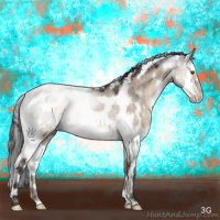 Horse Color:White Spotted Brown Dun Mushroom Splash Tobiano Rabicano