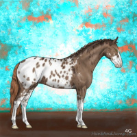 Horse Color:Liver Red Dun Sabino Appaloosa Brindle 