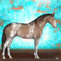 Horse Color:White Spotted Liver Red Dun 