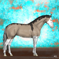 Horse Color:Liver Red Dun Splash 