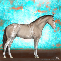 Horse Color:White Spotted Classic Champagne Dun Rabicano 