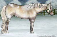 Horse Color:White Spotted Liver Red Dun Onyx Mushroom Brindle