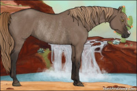 Horse Color:Liver Red Dun Rabicano 