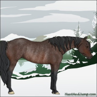 Horse Color:Brown Rabicano 