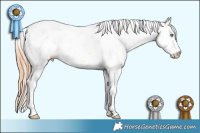 Horse Color:Smoky Black Pearl Sabino